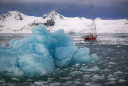Spitsbergen_2025 (23/78)